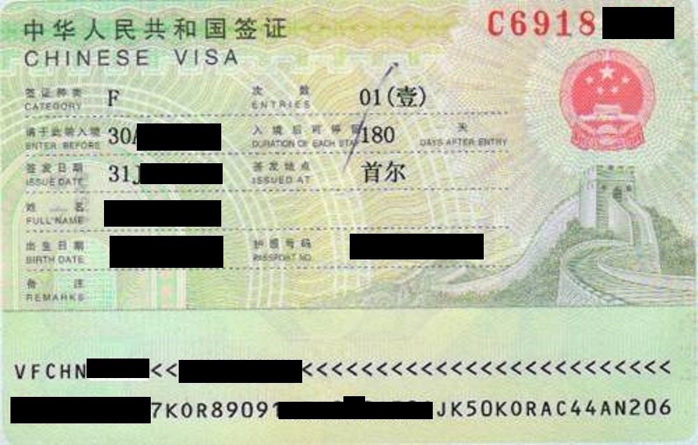 China Visa F
