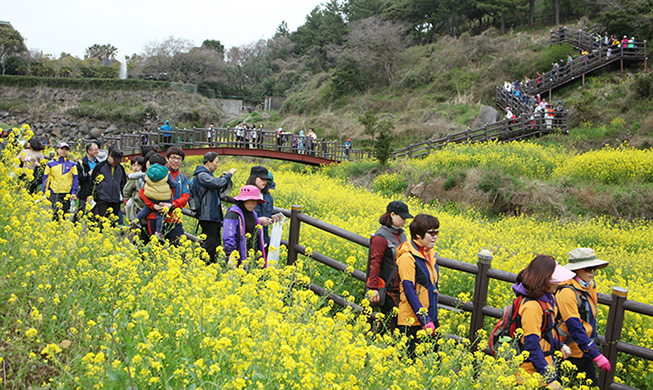QIngming Festival Hiking Flower